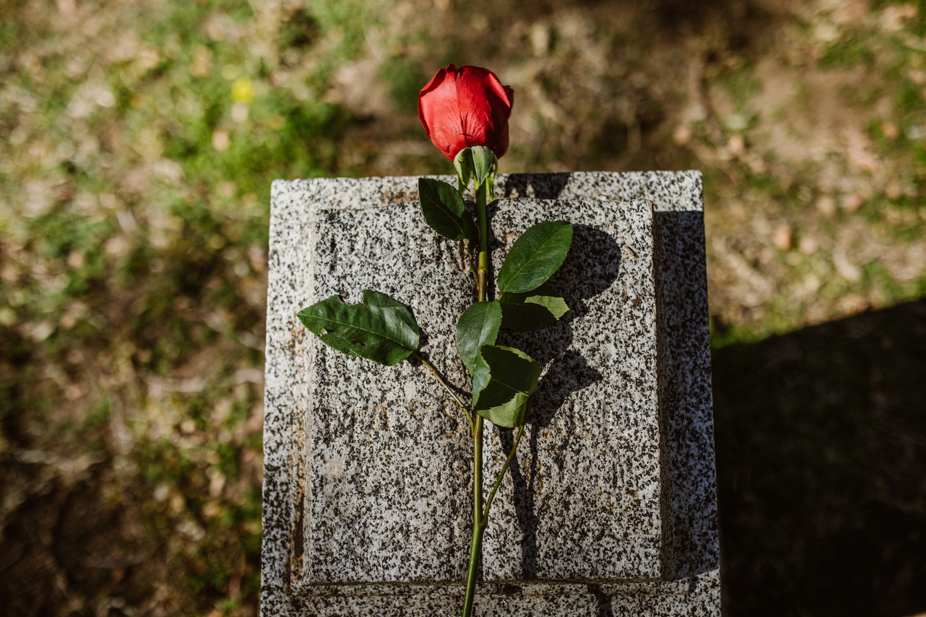 Red Rose on a Gravestone